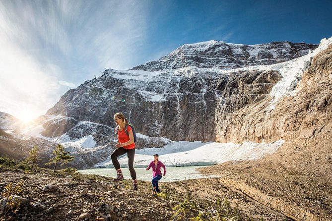 Lake Louise to Jasper One-Way Tour - Why this Lake Louise to Jasper route works so well