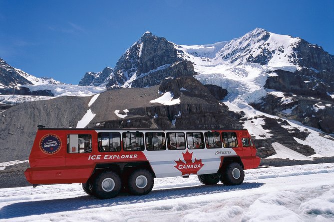 Lake Louise to Jasper One-Way Tour - The Columbia Icefield is the day’s centerpiece
