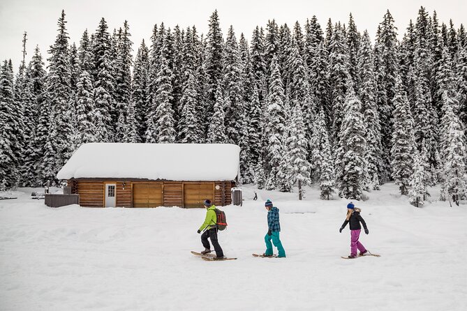 Lake Louise Winterland from Banff - Skating on Lake Louise costs extra