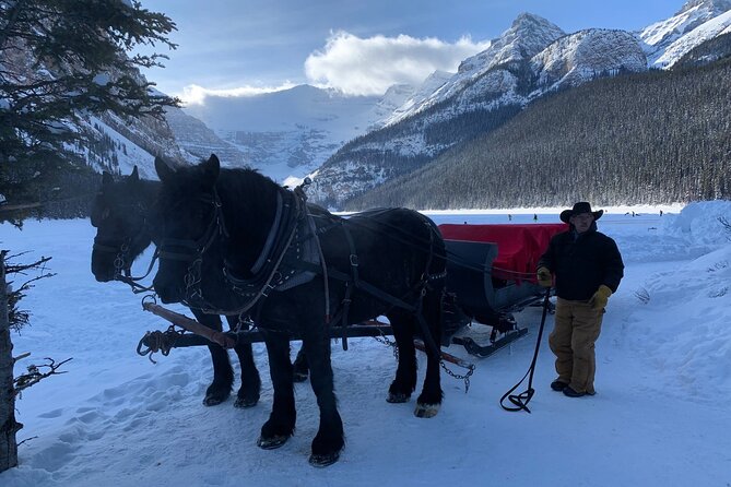 Lake Louise Winterland from Banff - Is $87.28 good value from Banff?