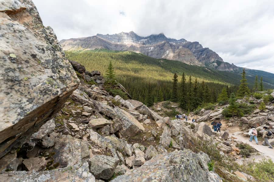 Lakes Moraine, Louise, Emerald, Johnston Canyon & Yoho Tour - Banff Avenue and Bow Falls add town time