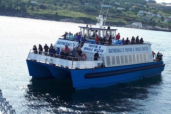 Late Season Puffin & Scenic Coastal Cruise - Stop two: the Witless Bay Ecological Reserve