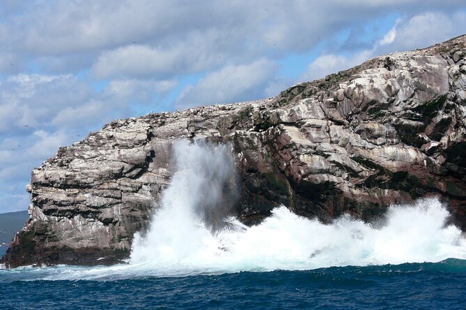 Late Season Puffin & Scenic Coastal Cruise - What to wear and what to bring