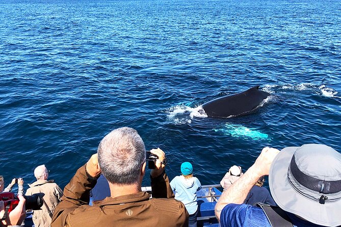 Late Season Puffin & Scenic Coastal Cruise - Is CA$71.18 good value?