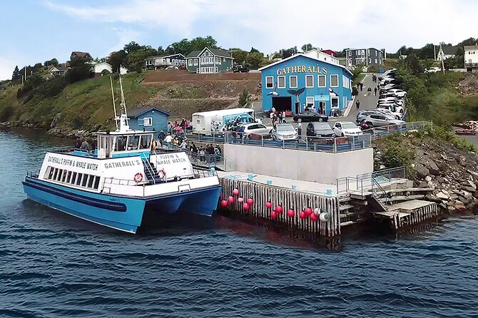 Late Season Puffin & Scenic Coastal Cruise - Who will enjoy this cruise most?
