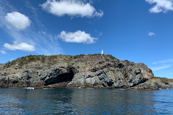 Late Season Puffin & Scenic Coastal Cruise - From St. John’s to Gatherall’s in Bay Bulls