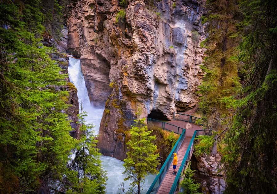 Louise,Moraine/Johnston Canyon,Emerald Lake, Banff/Gondola - Moraine Lake from June through October 13