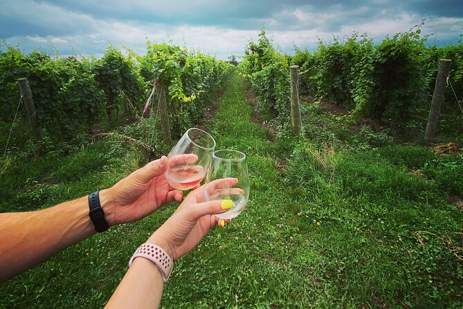 Lunch in the Vineyard: A Scenic Niagara Wine Tour Experience - Bella Terra Vineyards and a family-owned feel