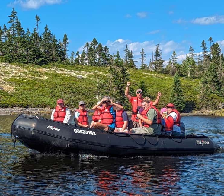 Lunenburg: Zodiac Wildlife Tour with Naturalist Guide - Looking for seals, seabirds, and land animals