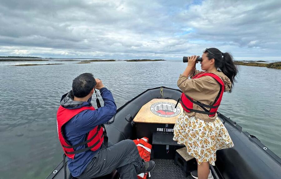 Lunenburg: Zodiac Wildlife Tour with Naturalist Guide - What the two-hour itinerary feels like