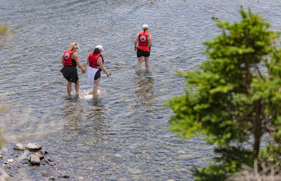 Lunenburg: Zodiac Wildlife Tour with Naturalist Guide - Following a pristine stretch of shoreline