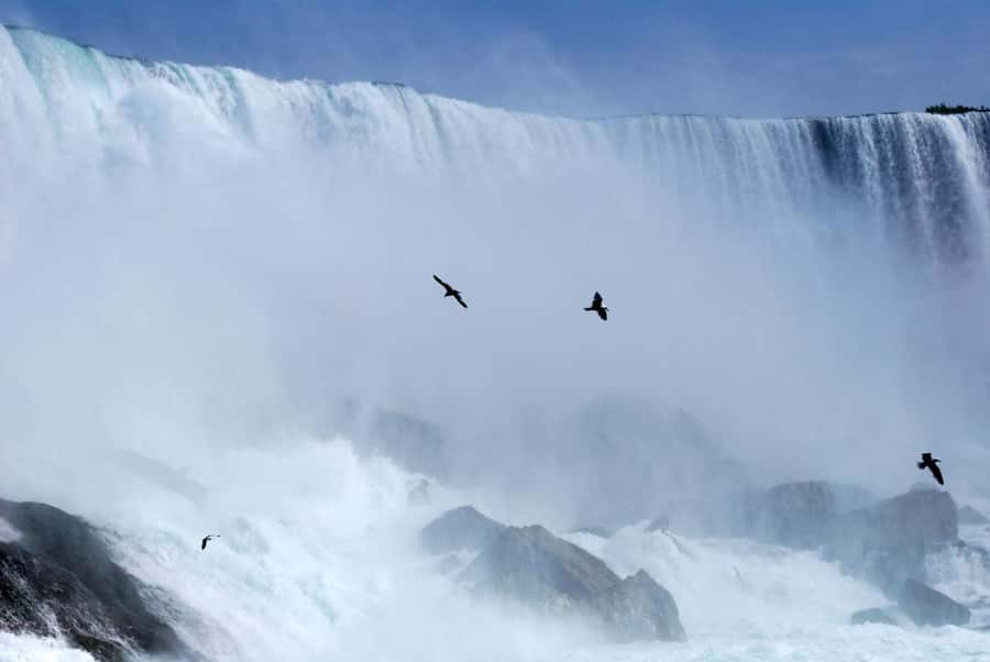 Luxury Day Trip: Niagara on the Lake, Wine & Falls - The return to Toronto: the day’s biggest caution