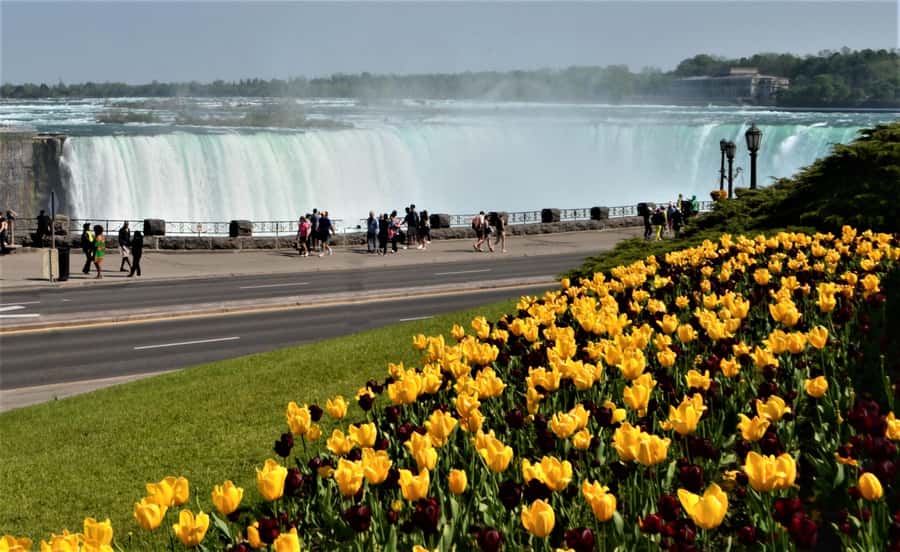 Luxury Day Trip: Niagara on the Lake, Wine & Falls - A 30-minute winery tasting