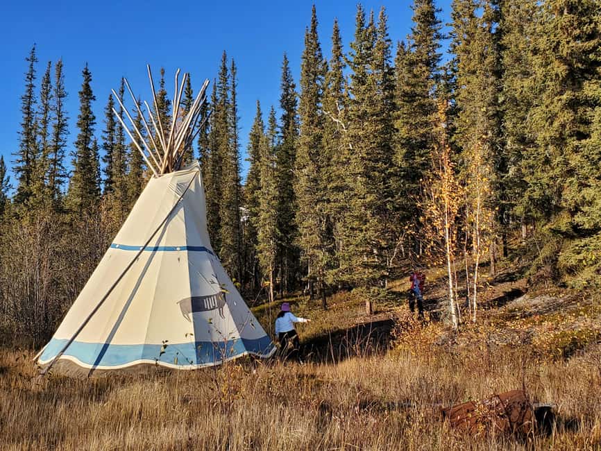 Madeline Lake: Aurora Lodge and Aurora Chasing Tour - Key points before you book
