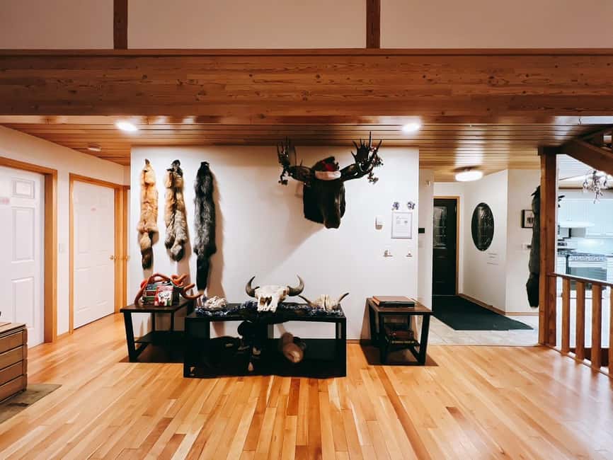 Madeline Lake: Aurora Lodge and Aurora Chasing Tour - Is $100 a fair price?