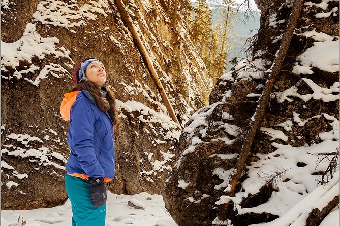 Maligne Valley and Pleckaitis Icewalk - Key points to know before you book