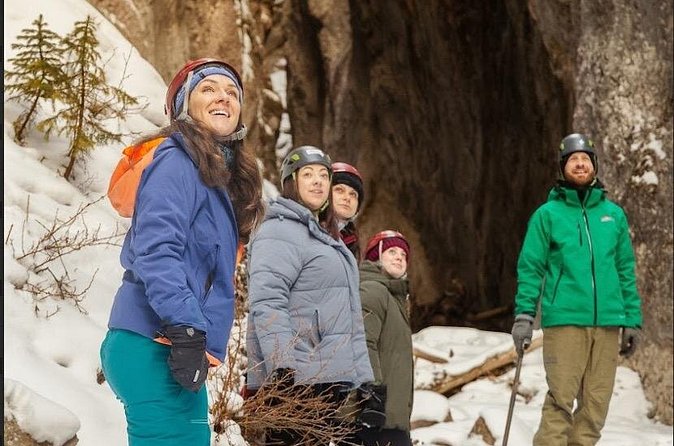 Maligne Valley and Pleckaitis Icewalk - Weather, safety, and a flexible schedule