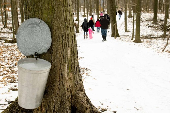 Maple Syrup Tour on the Sugar Bush Trek - Key points to know before you go