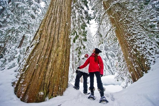 Medicine Trail Snowshoe Tour - Key Things to Know Before You Go
