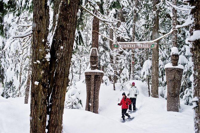 Medicine Trail Snowshoe Tour - From Whistler Village to the Callaghan Valley