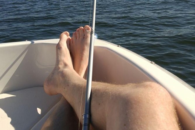 Meet The Seals Boat Tour - Travel by boat to a Secret Seal Cove - What the $89.91 price really buys