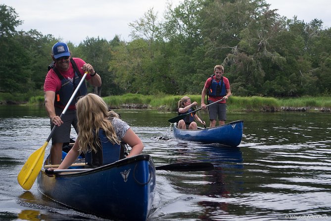 Mersey River Quickie Adventure - 2 Hours - Canoe or kayak, with safety equipment provided