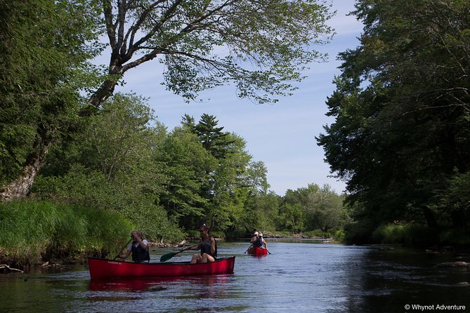 Mersey River Quickie Adventure - 2 Hours - Why the eight-person limit matters