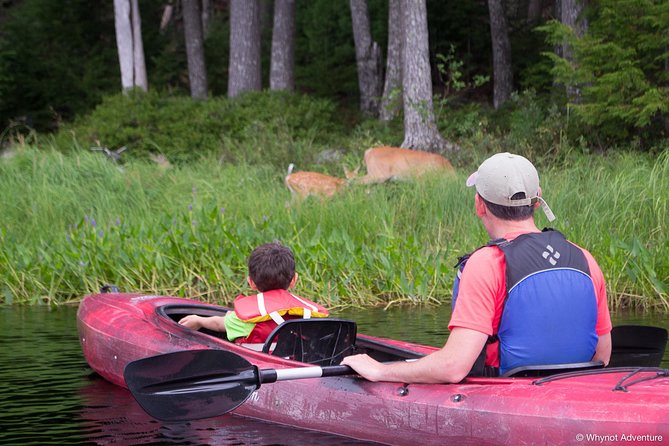 Mersey River Quickie Adventure - 2 Hours - Understanding the $66.92 price