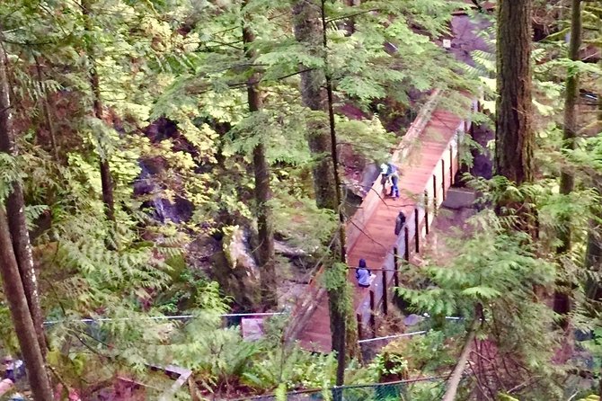 Mesmerizing Nature Walk in Lynn Canyon Park - Families, timing, and the pace of the walk