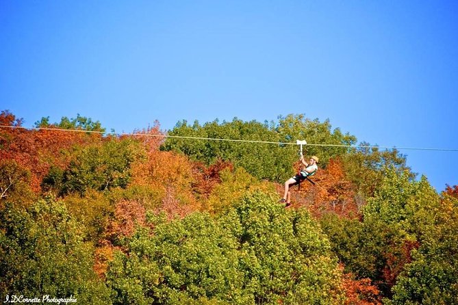 Mont-Catherine Ziplines - Starting at the Base of Mont Catherine