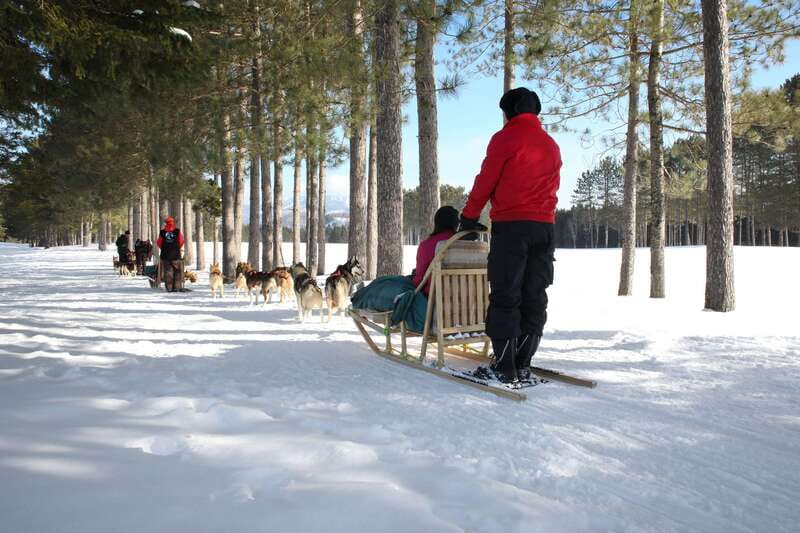 Mont-Tremblant: Guided Dogsledding Tour with Hot Chocolate - Key points to know before booking