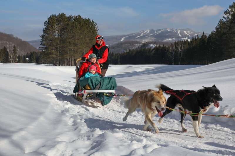 Mont-Tremblant: Guided Dogsledding Tour with Hot Chocolate - Starting at the kennel with the dogs