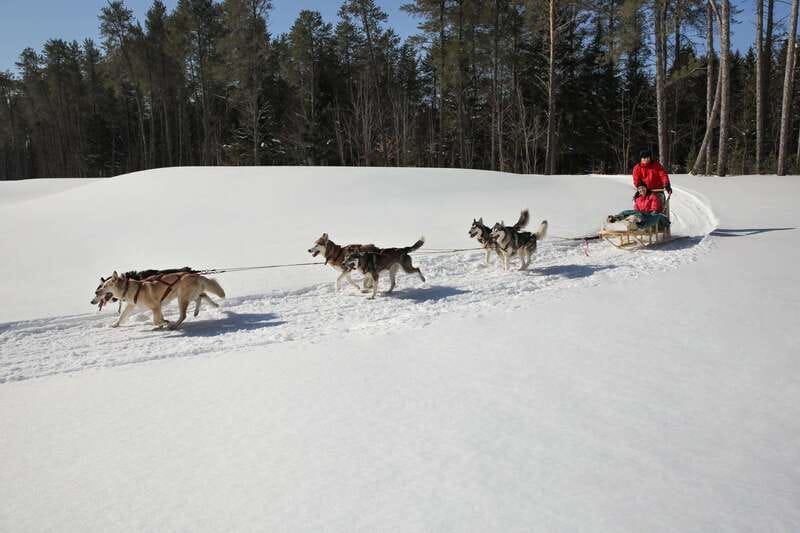 Mont-Tremblant: Guided Dogsledding Tour with Hot Chocolate - Returning to the kennel for dog time