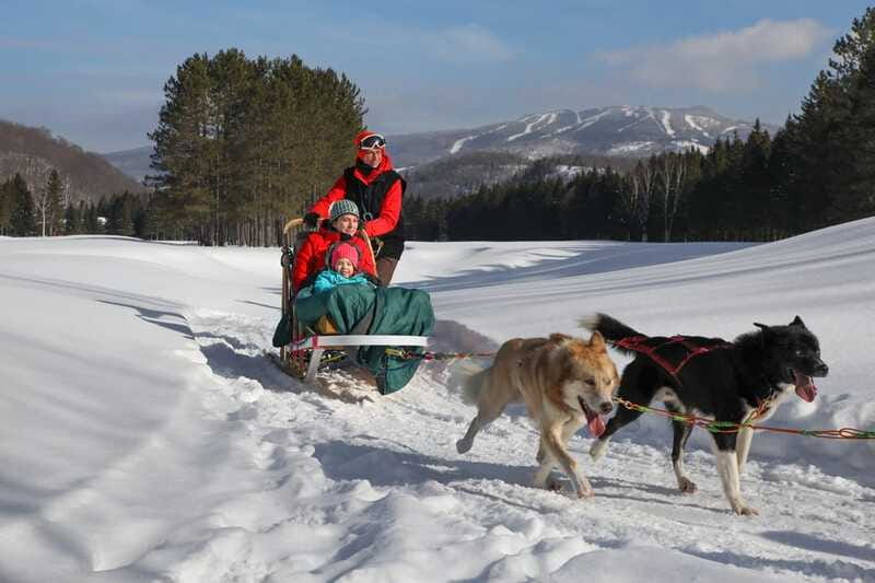 Mont-Tremblant: Guided Dogsledding Tour with Hot Chocolate - Hot chocolate and cookies in the yurt
