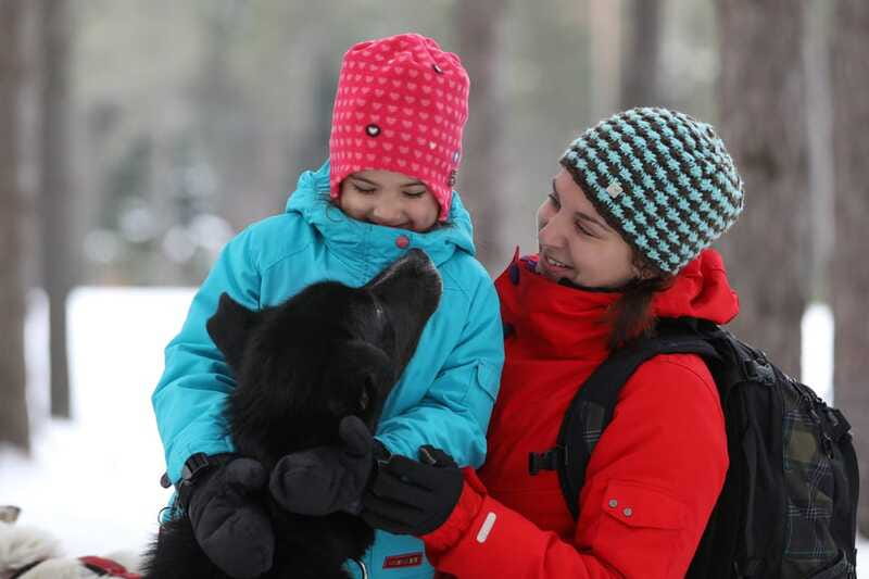 Mont-Tremblant: Guided Dogsledding Tour with Hot Chocolate - Practical details that affect your day