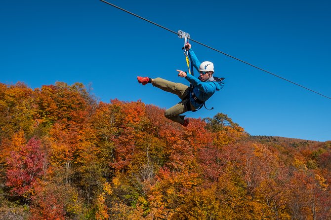 Mont Tremblant Guided Zipline Tour - What the $142.58 price delivers