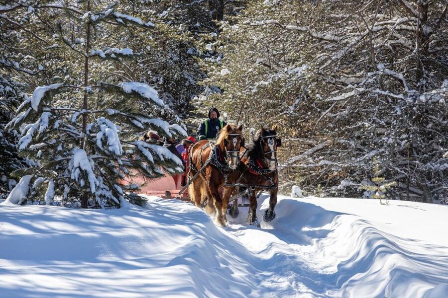 Mont-Tremblant: Sleigh Ride w/ Storytelling & Hot Chocolate - A Gentle Introduction to Mont-Tremblant’s Winter World