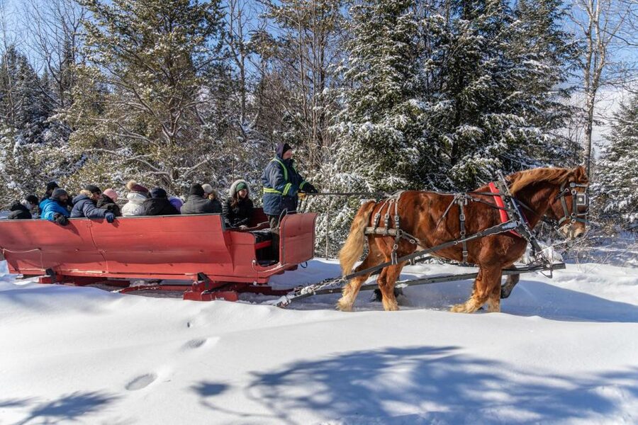 Mont-Tremblant: Sleigh Ride w/ Storytelling & Hot Chocolate - Fields First, Then Laurentian Woods