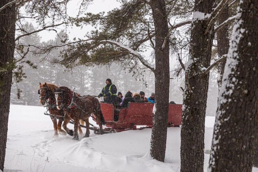 Mont-Tremblant: Sleigh Ride w/ Storytelling & Hot Chocolate - Legends, Folk Songs, and Live Instruments