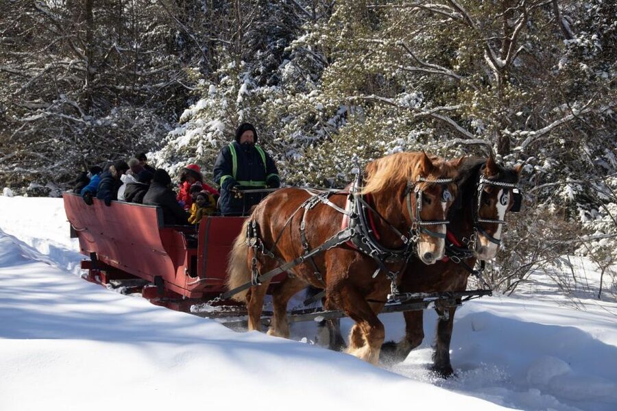 Mont-Tremblant: Sleigh Ride w/ Storytelling & Hot Chocolate - Daylight, Darkness, and Winter Temperatures