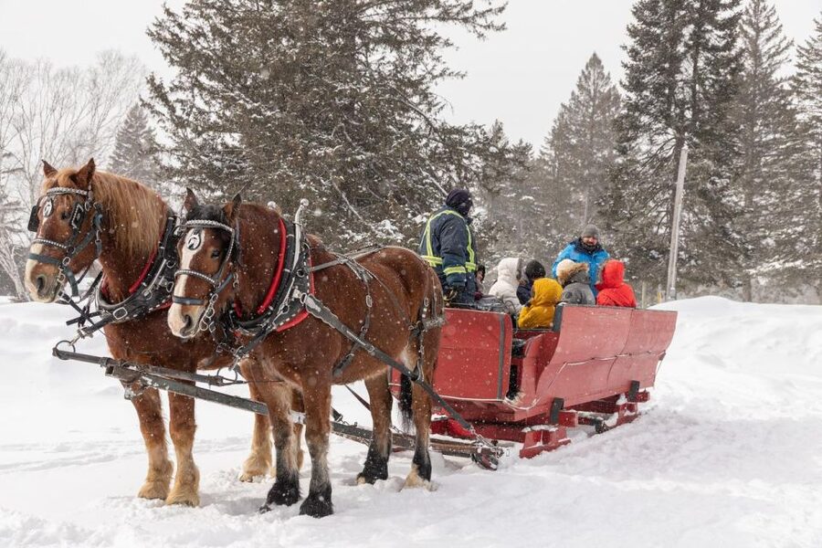 Mont-Tremblant: Sleigh Ride w/ Storytelling & Hot Chocolate - Who Will Enjoy This Ride Most?