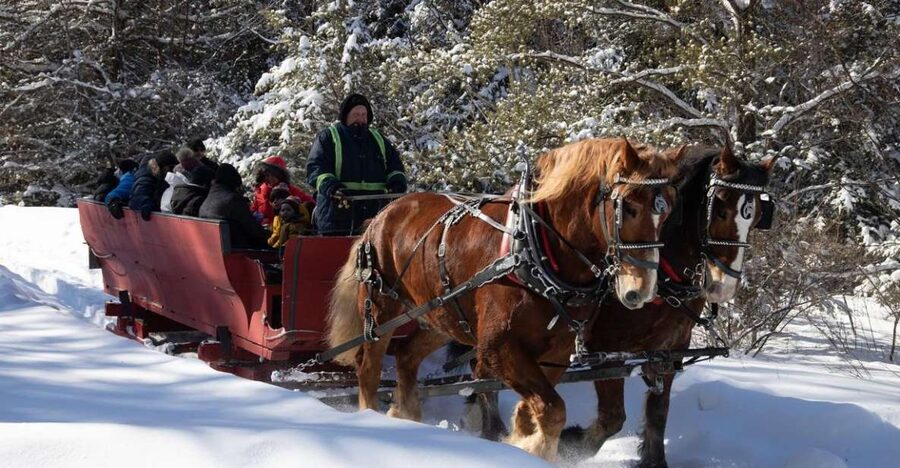 Mont-Tremblant: Sleigh Ride w/ Storytelling & Hot Chocolate - From Chemin Champagne to the Forest