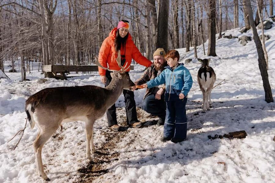 Montebello, QC: Morning VIP Tour at Parc Oméga - Why the morning timing changes the experience