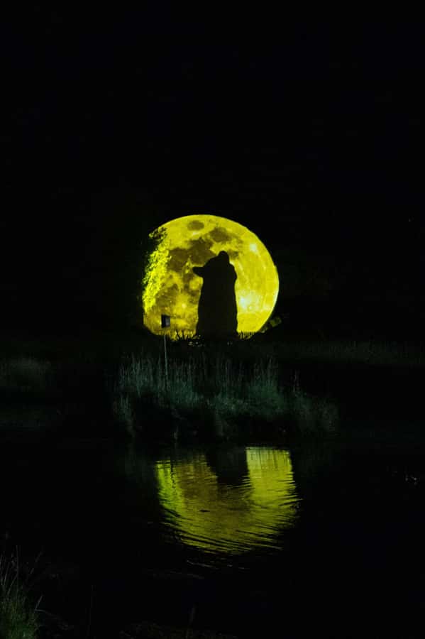 Montebello, QC: Parc Omega ONIRO Immersive Experience at Night - Following Oniro Into the Night Forest