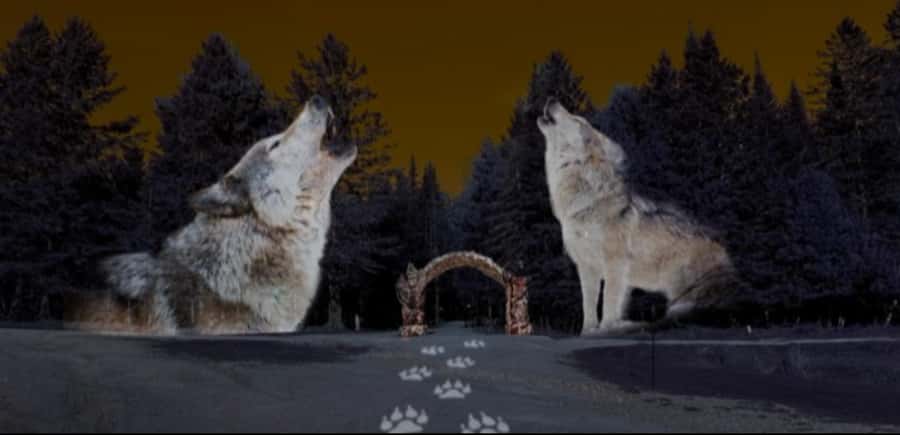 Montebello, QC: Parc Omega ONIRO Immersive Experience at Night - Why the Forest Setting Matters