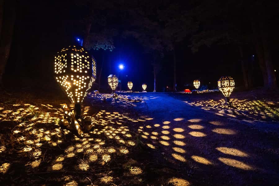Montebello, QC: Parc Omega ONIRO Immersive Experience at Night - A Family Activity With a Gentle Story