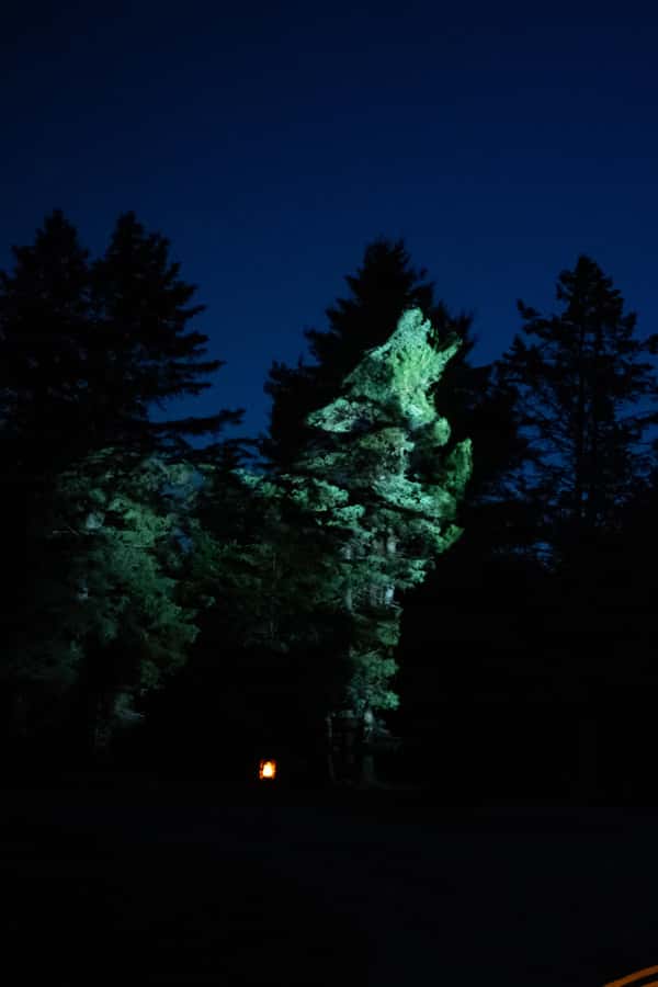 Montebello, QC: Parc Omega ONIRO Immersive Experience at Night - What to Wear and Bring for a Night Walk