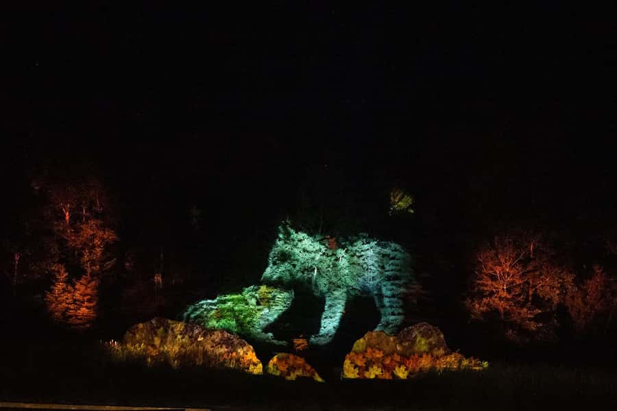 Montebello, QC: Parc Omega ONIRO Immersive Experience at Night - How Oniro Fits Into a Parc Omega Visit
