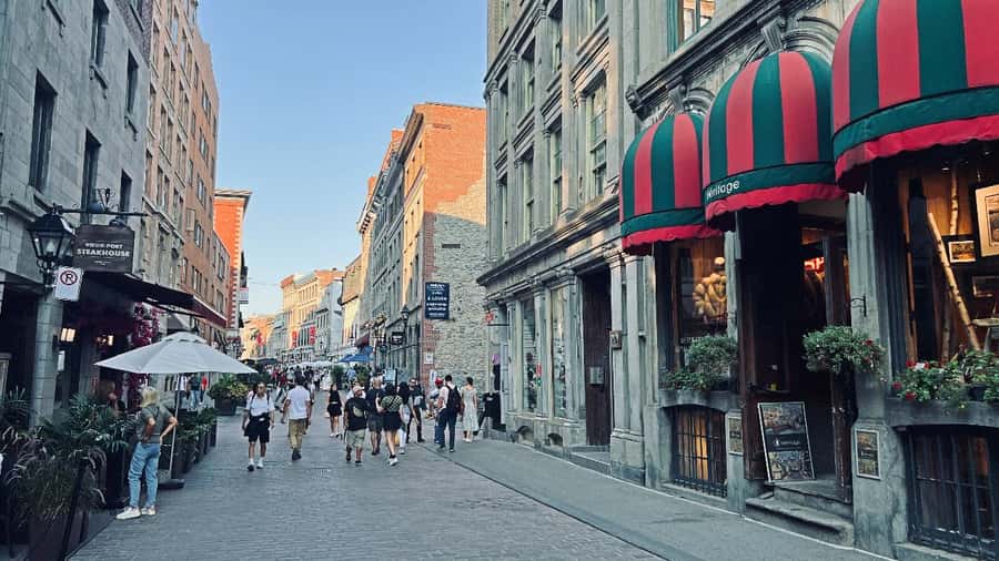 Montreal: 3-Hour Private Car Tour with Expert & Free Pickup - Jean Drapeau Park and Olympic Stadium widen the picture