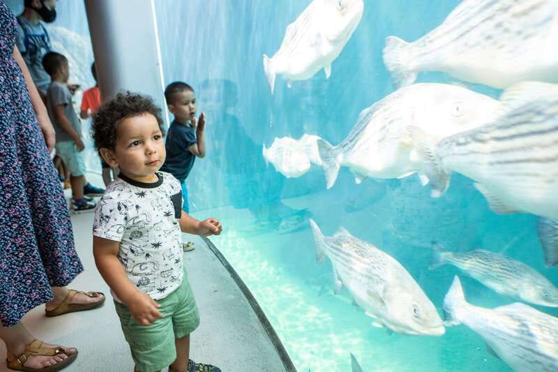 Montreal: 5 Attractions Pass - Opening days, holidays, and special events can change the plan